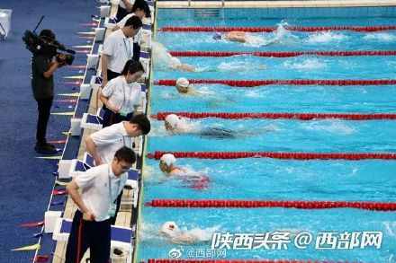 十四运会游泳项目测试赛圆满落幕