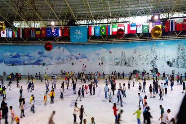 深圳阿尔卑斯冰雪世界，全景式仿天然雪场+梦幻冰雕乐园