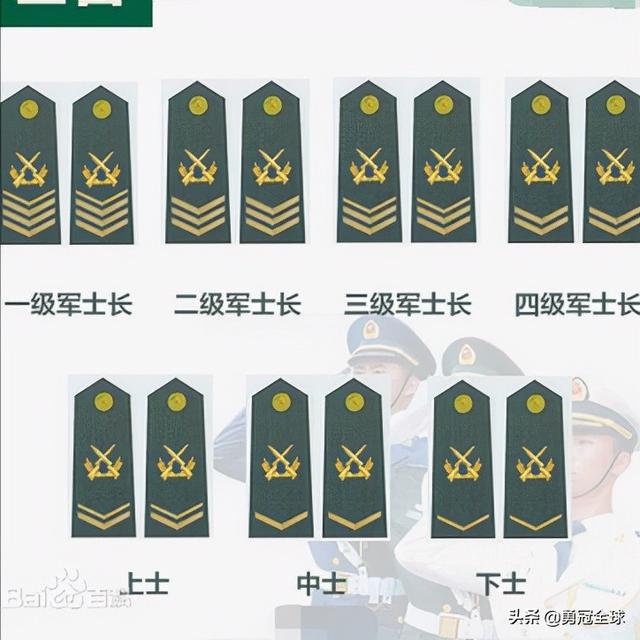 解放军军衔等级划分标准（解放军军衔等级与职位图）