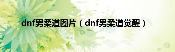 dnf男柔道图片（dnf男柔道觉醒）
