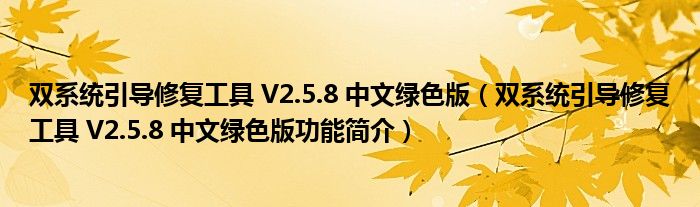 双系统引导修复工具 V2.5.8 中文绿色版（双系统引导修复工具 V2.5.8 中文绿色版功能简介）
