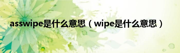 asswipe是什么意思（wipe是什么意思）