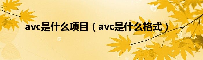 avc是什么项目（avc是什么格式）