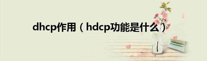 dhcp作用（hdcp功能是什么）