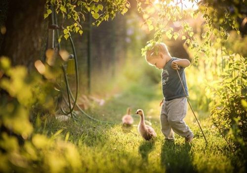 《望》组词 望字组词 名字大全包含有《望》的词语成语 2022漂亮有涵养的成语名字