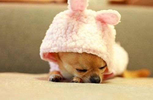 情侣之间升温游戏有哪些 恩爱情侣名字大全集 漂亮有涵养的情侣游戏情侣名字大全