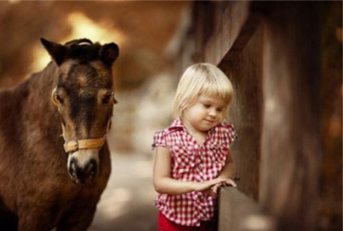 2021最好看的英文网名大全 有涵养好看的英文网名名字