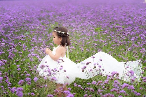 军团名字大全最拉风霸气,又霸气又冷酷的军团名 2022