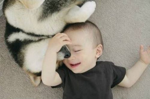 古风的过目不忘的客栈名字大全