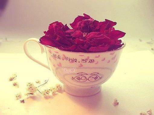 姓宁的女孩取什么名字大全好 独一无二好听的宁姓女孩名字大全