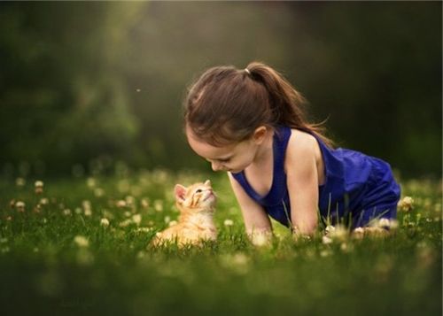 木字旁的字大全 有涵养洋气的小孩名字