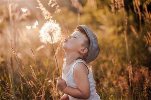 2021好听独特的蛋糕店名字,好听独特的店名名字大全