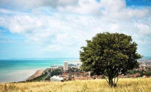 翼字起名大全的含义是什么 2022吉利新颖的宝宝名