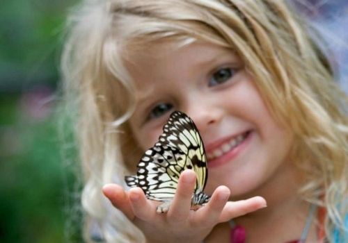 简单暖心的网名大全_简单的网名名