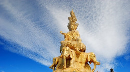 好听不易撞的网名大全,彰显你独特的气质 好听独特气质的网名名字