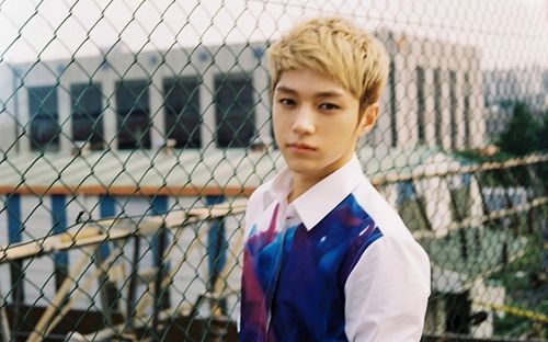 有气质有女人味的网名 女人高雅气质网名大全 气质高雅气质的女网名女网名名字大全