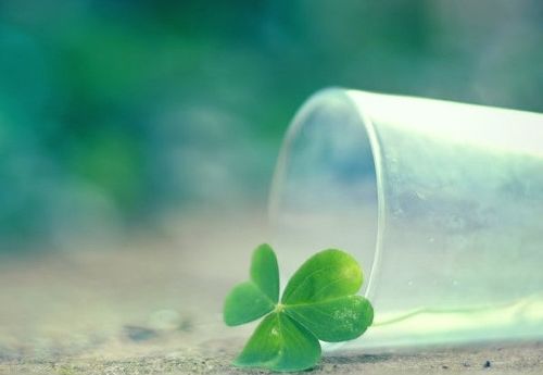 玩具店名字大全好记又好听 漂亮好听的店名名字筛选