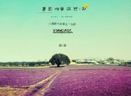 不会取名大全怎么办? 好听帅气的宝宝名(最新)