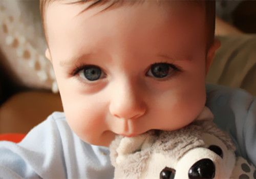 属虎姓胡的女孩名字大全什么好 高雅有涵养的虎姓虎女孩名字大全精挑