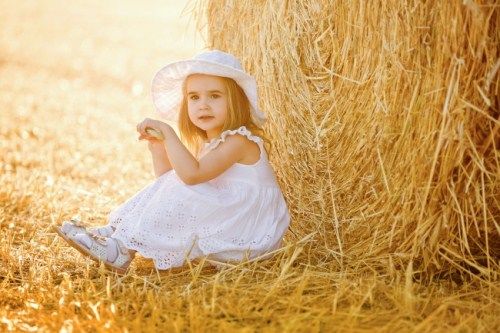 世界狗狗品种名字大全 大型犬宠物起名 温柔文静物起名 - 取名网叁的狗狗名字挑选