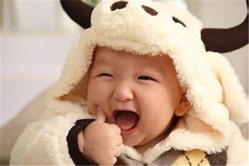 可爱的沙雕网名大全 好听可爱的网名名字