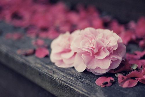 建筑工程有限公司取名 公司在线起名大全 有涵养洋气的公司公司名字大全