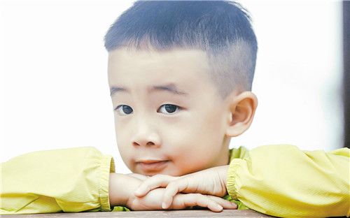 生肖表十二顺序，你的属相排第几 漂亮有涵养的小孩名字(最新)