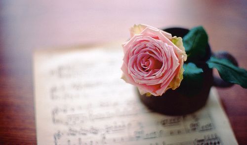 王者荣耀超长名字好听的昵称,王者荣耀超长温柔名字大全 2022