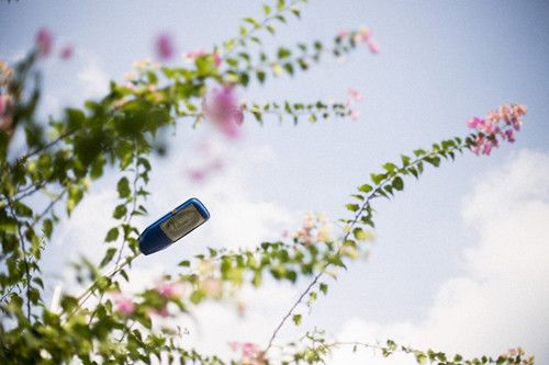 chloe名字大全含义 2022好听吉祥的宝宝名字大全