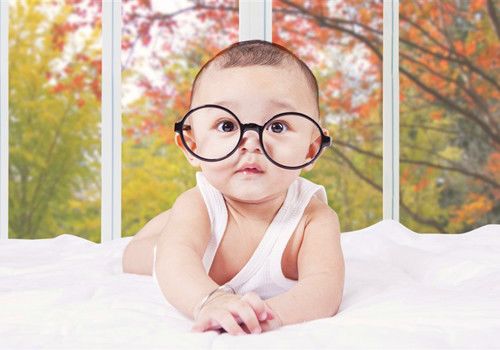 红颜打一生肖是什么动物 红颜知己的动物是什么生肖