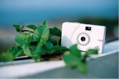 司字起名大全的含义是什么 2022有内涵独一无二的宝宝名字(最新)