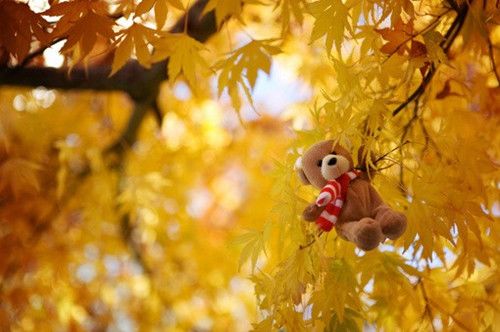 带琰字的名字_以琰字起名大全 好听帅气的带琰字小孩名字精挑