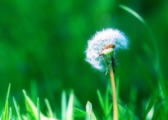 好听的陶姓男孩名字大全 2022新颖好听的陶姓男孩名字大全挑选