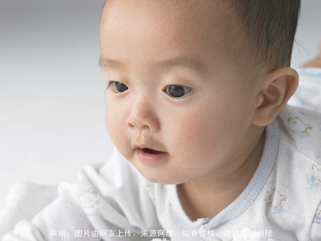 狗的象征意义 好听帅气的狗名字大全(最新)