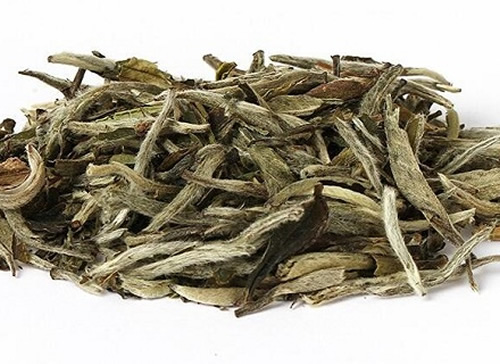 白茶的价格是多少钱一斤